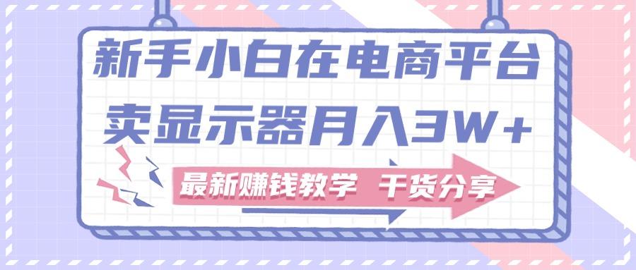 新手小白如何做到在电商平台卖显示器月入3W+，最新赚钱教学干货分享-test