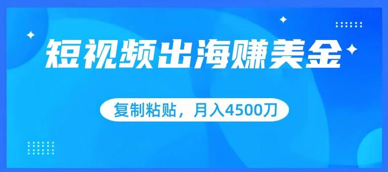 短视频出海赚美金，复制粘贴批量操作，小白轻松掌握，月入4500美刀【揭秘】-test