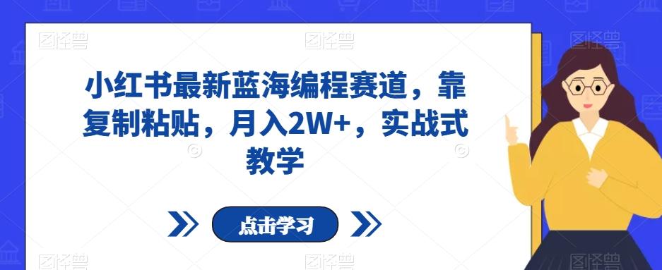 小红书最新蓝海编程赛道，靠复制粘贴，月入2W+，实战式教学【揭秘】-test