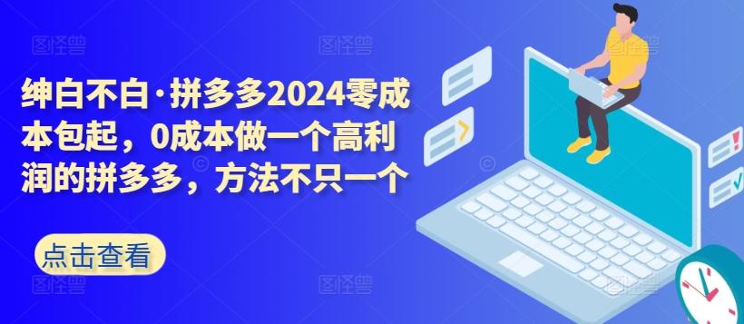拼多多2024零成本包起，0成本做一个高利润的拼多多，方法不只一个-test
