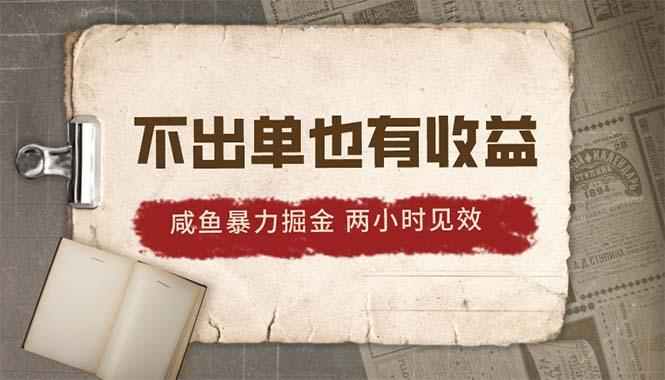 2024咸鱼暴力掘金，不出单也有收益，两小时见效，当天突破500+-test