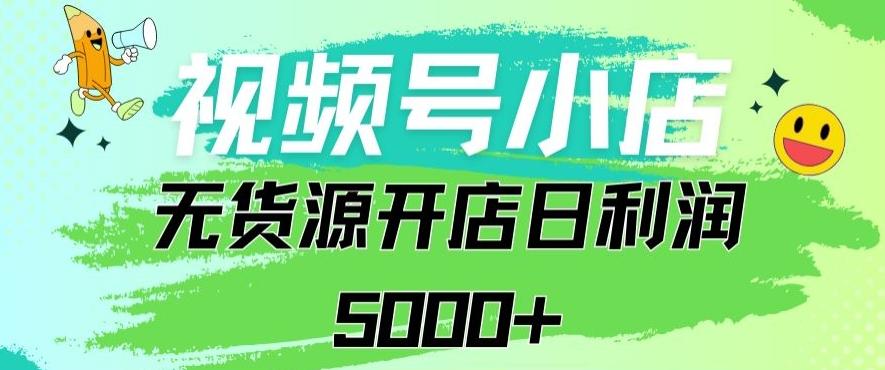 视频号无货源小店从0到1日订单量千单以上纯利润稳稳5000+【揭秘】-test