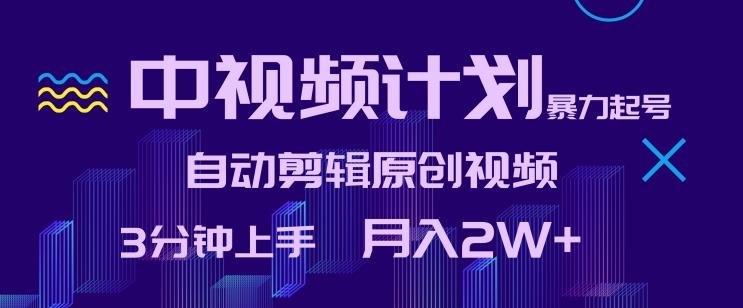 中视频计划暴力起号，自动剪辑原创视频，3分钟上手，月入2W+【揭秘】-test