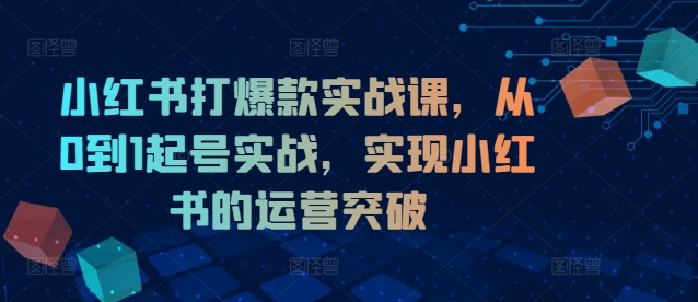 小红书打爆款实战课，从0到1起号实战，实现小红书的运营突破-test