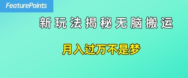 简单操作，每天50美元收入，搬运就是赚钱的秘诀【揭秘】-test