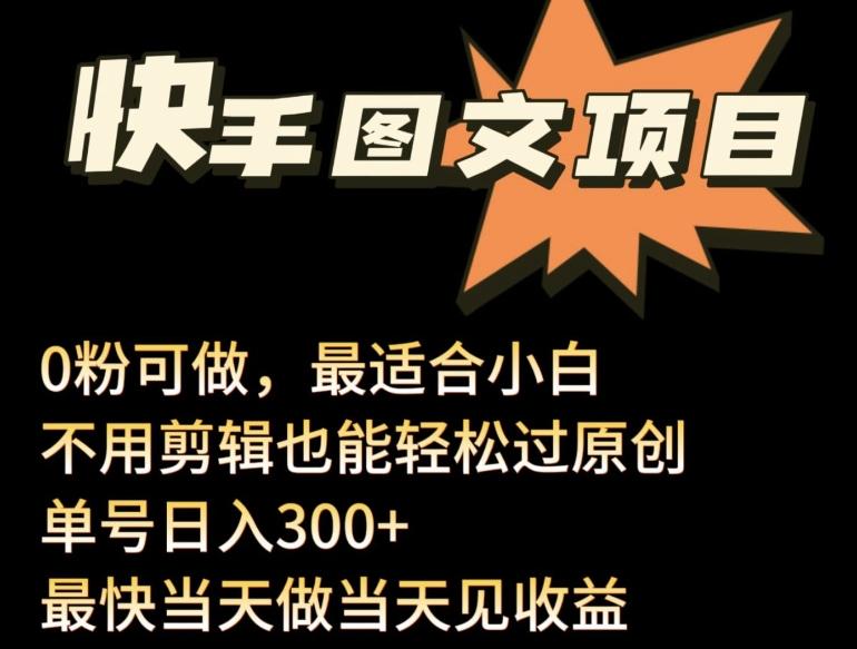 24年最新快手图文带货项目，零粉可做，不用剪辑轻松过原创单号轻松日入300+【揭秘】-test