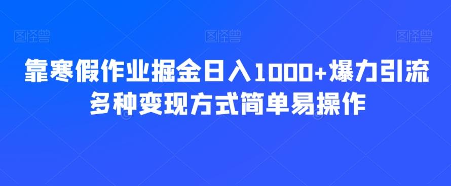 靠寒假作业掘金日入1000+爆力引流多种变现方式简单易操作-test