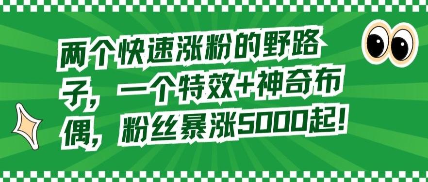 两个快速涨粉的野路子，一个特效+神奇布偶，粉丝暴涨5000起【揭秘】-test