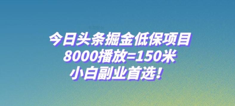 今日头条掘金低保项目，8000播放=150米，小白副业首选【揭秘】-test