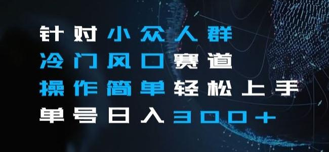 针对小众人群冷门风口赛道，操作简单轻松上手单号日入300+-test