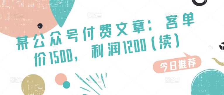 某公众号付费文章：客单价1500，利润1200(续)，市场几乎可以说是空白的-test