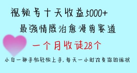 十天收益5000+，多平台捞金，视频号情感治愈漫剪，一个月收徒28个，小白一部手机轻松上手【揭秘】-test