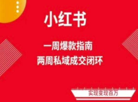 爆款小红书免费流量体系课程(两周变现)，小红书电商教程-test