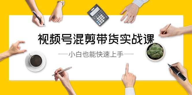 视频号混剪带货实战课，小白也能快速上手（10节课）-test