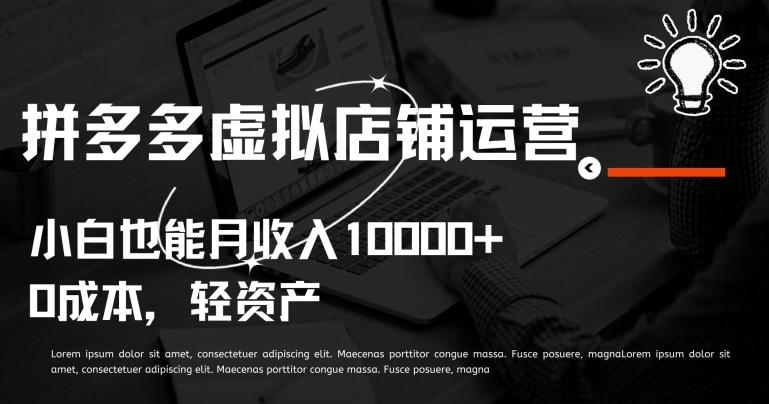 拼多多虚拟店铺运营小白也能月收入10000+【揭秘】-test