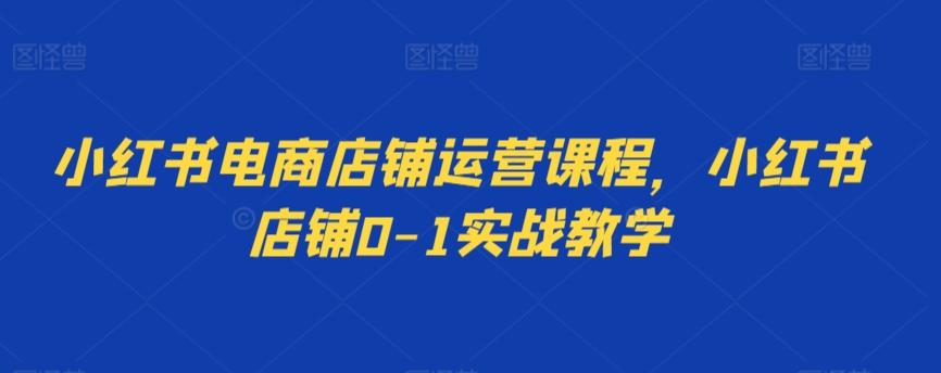 小红书电商店铺运营课程，小红书店铺0-1实战教学-test