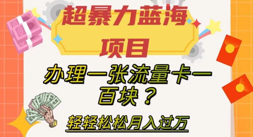 超暴力蓝海项目，办理一张流量卡一百块？轻轻松松月入过万，保姆级教程【揭秘】-test