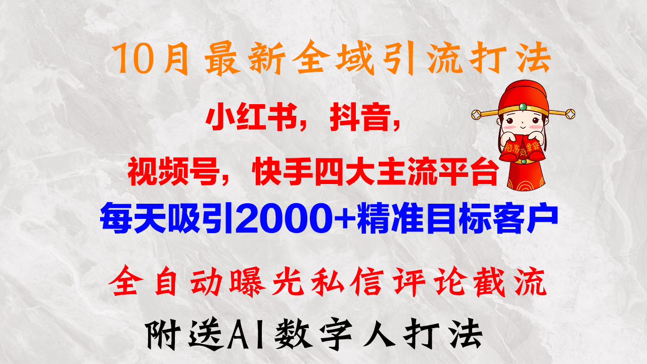 10月最新小红书，抖音，视频号，快手四大平台全域引流，，每天吸引2000…-test