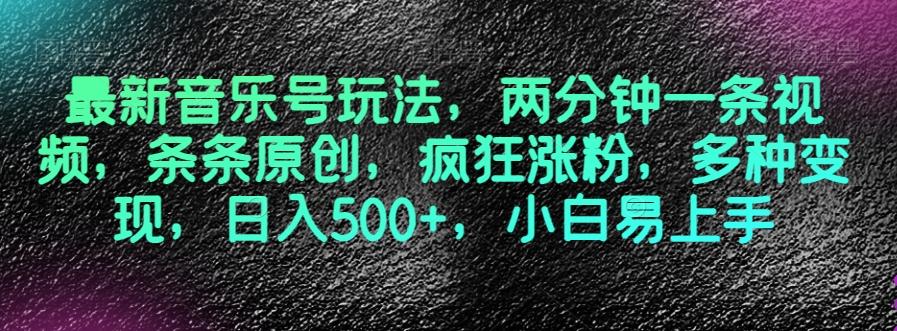 最新音乐号玩法，两分钟一条视频，条条原创，疯狂涨粉，多种变现，日入500+，小白易上手【揭秘】-test
