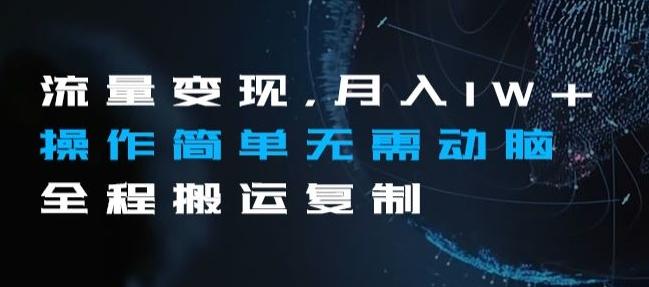 流量变现，月入1W+操作简单无需动脑全程搬运复制【揭秘】-test