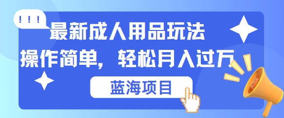 最新成人用品项目玩法，操作简单，动动手，轻松日入几张【揭秘】-test