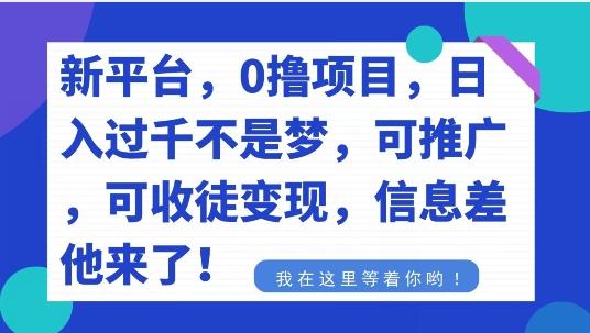 不要再花冤枉钱了，0撸项目，每天坚持，稳定1000+-test