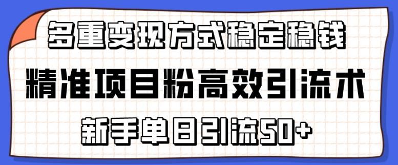 精准项目粉高效引流术，新手单日引流50+，多重变现方式稳定赚钱【揭秘】-test