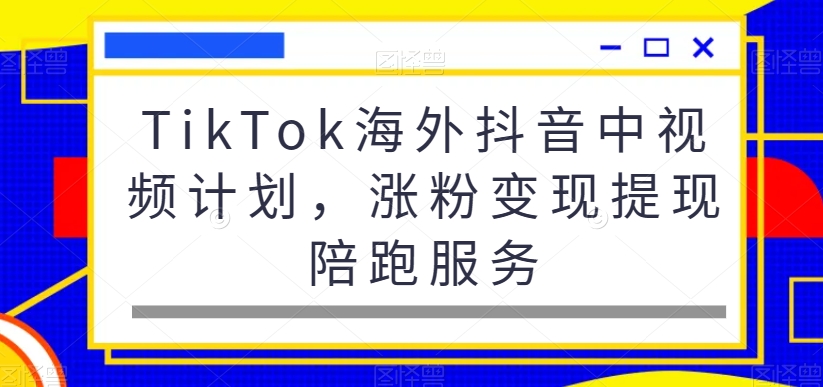 TikTok海外抖音中视频计划，涨粉变现提现陪跑服务-test