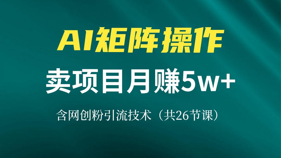 网创IP打造课，借助AI卖项目月赚5万+，含引流技术(共26节课-test