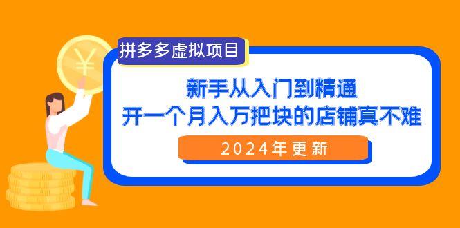 (9744期)拼多多虚拟项目：入门到精通，开一个月入万把块的店铺 真不难(24年更新)-test