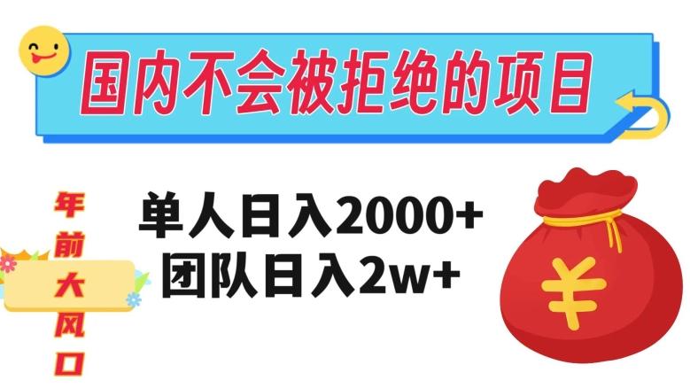 在国内不怕被拒绝的项目，单人日入2000，团队日入20000+【揭秘】-test