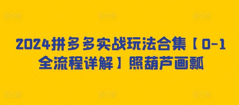 2024拼多多实战玩法合集【0-1全流程详解】照葫芦画瓢-test