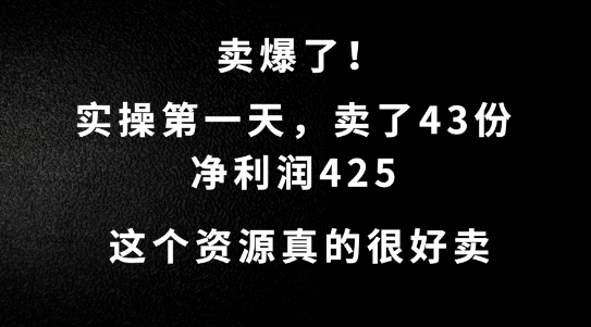 这个资源，需求很大，实操第一天卖了43份，净利润425【揭秘】-test