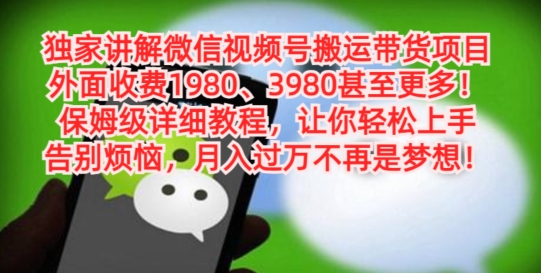 独家讲解微信视频号搬运带货项目，保姆级详细教程-test