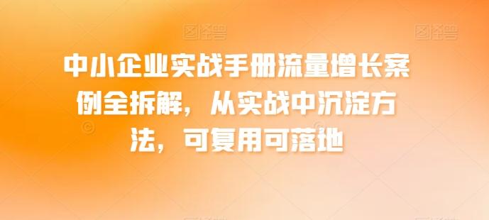 中小企业实战手册流量增长案例全拆解，从实战中沉淀方法，可复用可落地-test