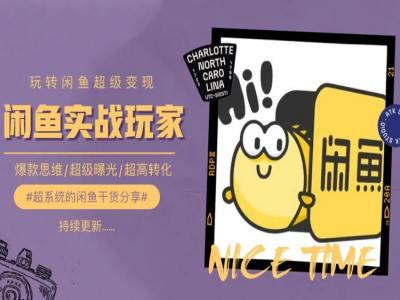 手把手教你0到1系统玩转闲鱼变现，爆款思维/超级曝光/超高转化-test