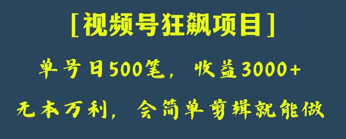 日收款500笔，纯利润3000+，视频号狂飙项目，会简单剪辑就能做【揭秘】-test