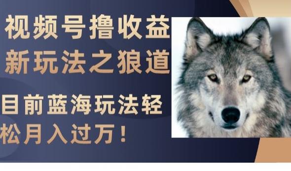 视频号撸收益新玩法之狼道，目前蓝海玩法，轻松月入过万【揭秘】-test