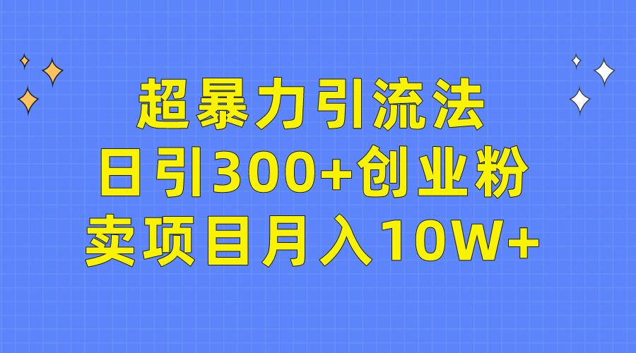 (9954期)超暴力引流法，日引300+创业粉，卖项目月入10W+-test