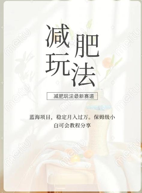 减肥流量主新玩法，轻松月入1W，可矩阵操作收入翻倍-test