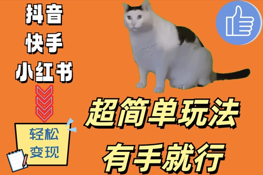 超简单玩法，有手就行，靠猫咪视频日入500+【揭秘】-test