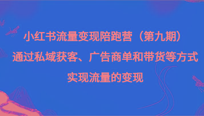 小红书流量变现陪跑营（第九期）通过私域获客、广告商单和带货等方式实现流量变现-test