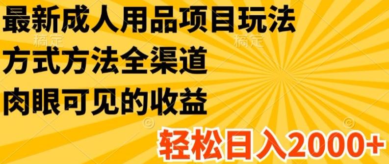最新成人用品项目玩法，方式方法全渠道，轻松日入2K+【揭秘】-test