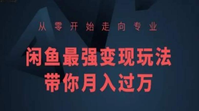 从零开始走向专业，闲鱼最强变现玩法带你月入过万-test
