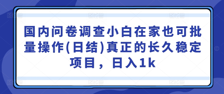 国内问卷调查小白在家也可批量操作(日结)真正的长久稳定项目，日入1k【揭秘】-test