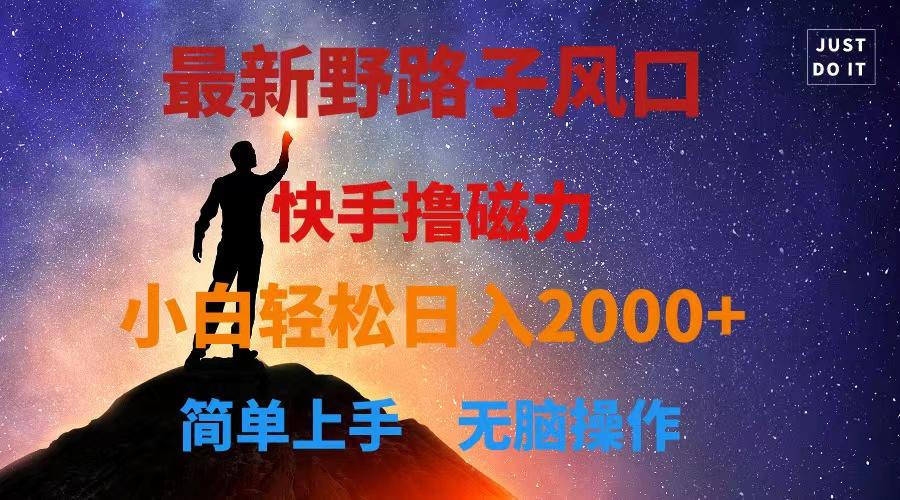 最新风口！快手撸磁力，野路子，小白无脑操作日入2000+-test