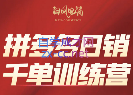 白凤电商学院·拼多多日销千单训练营(更新7月)-test