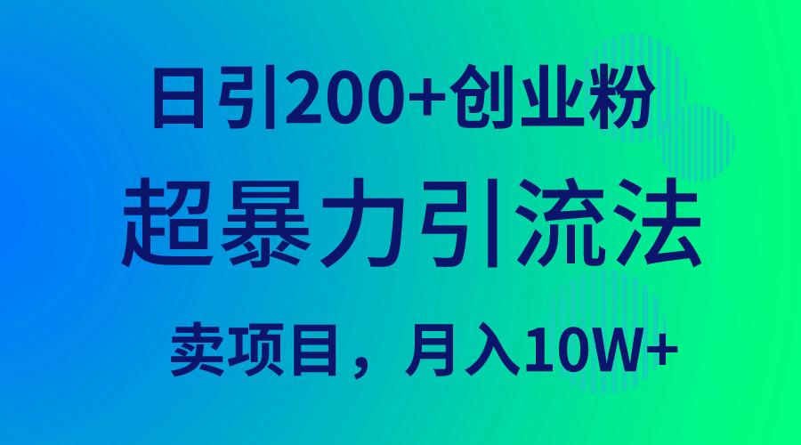 (9654期)超暴力引流法，日引200+创业粉，卖项目月入10W+-test