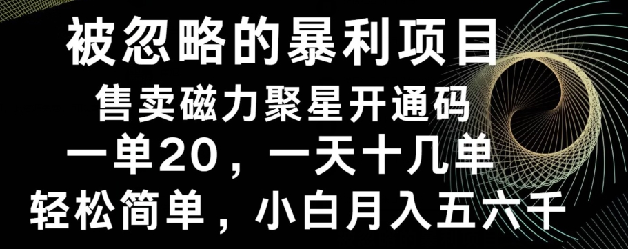 被忽略的暴利项目！售卖磁力聚星开通码，一单20，一天十几单，轻松月入五六千-test