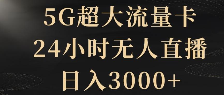 5G超大流量卡，24小时无人直播，日入3000+【揭秘】-test